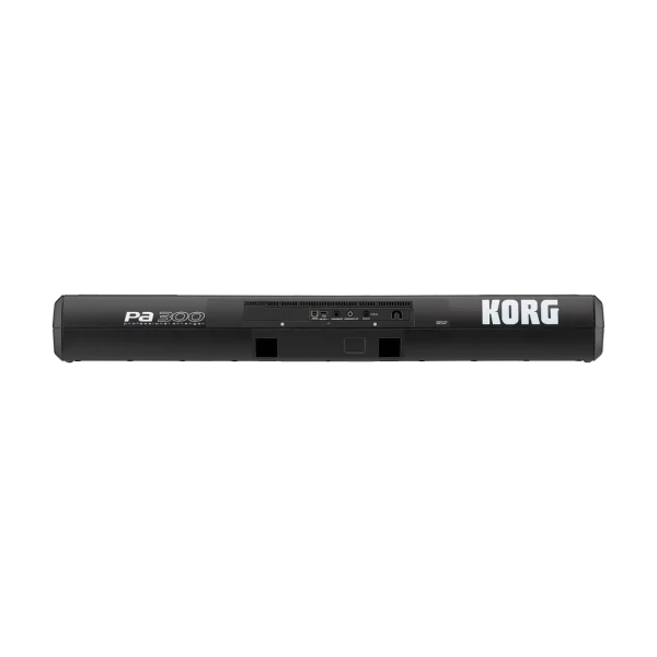 Sintetizador KORG Pa300 - Imagen 3