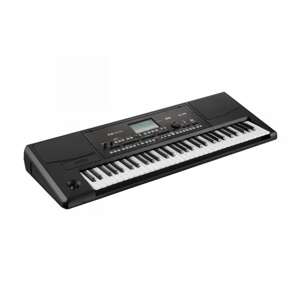Sintetizador KORG Pa300 - Imagen 2